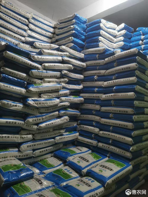 白芝麻价格趋势与行业应用分析